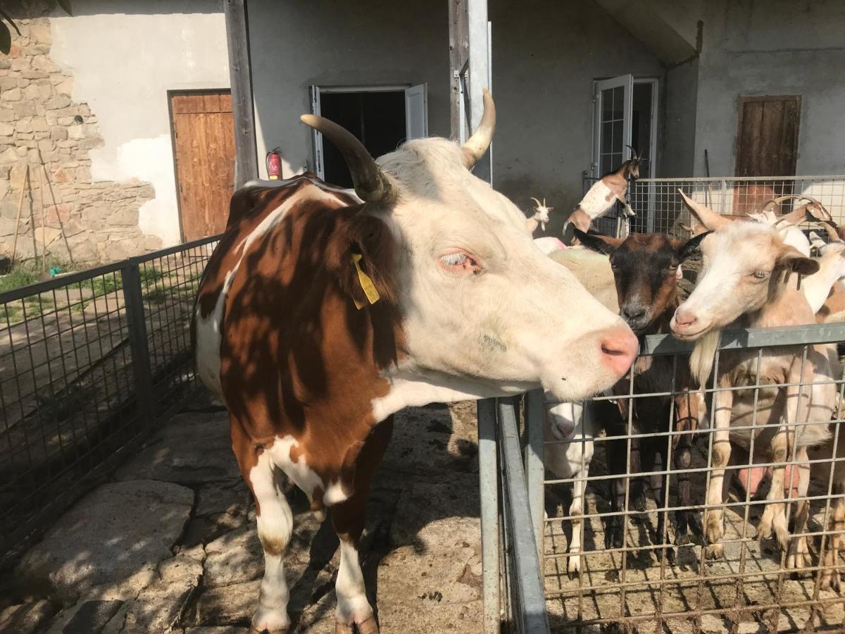 Pension Biofarma Slunecna Želnava Buitenkant foto