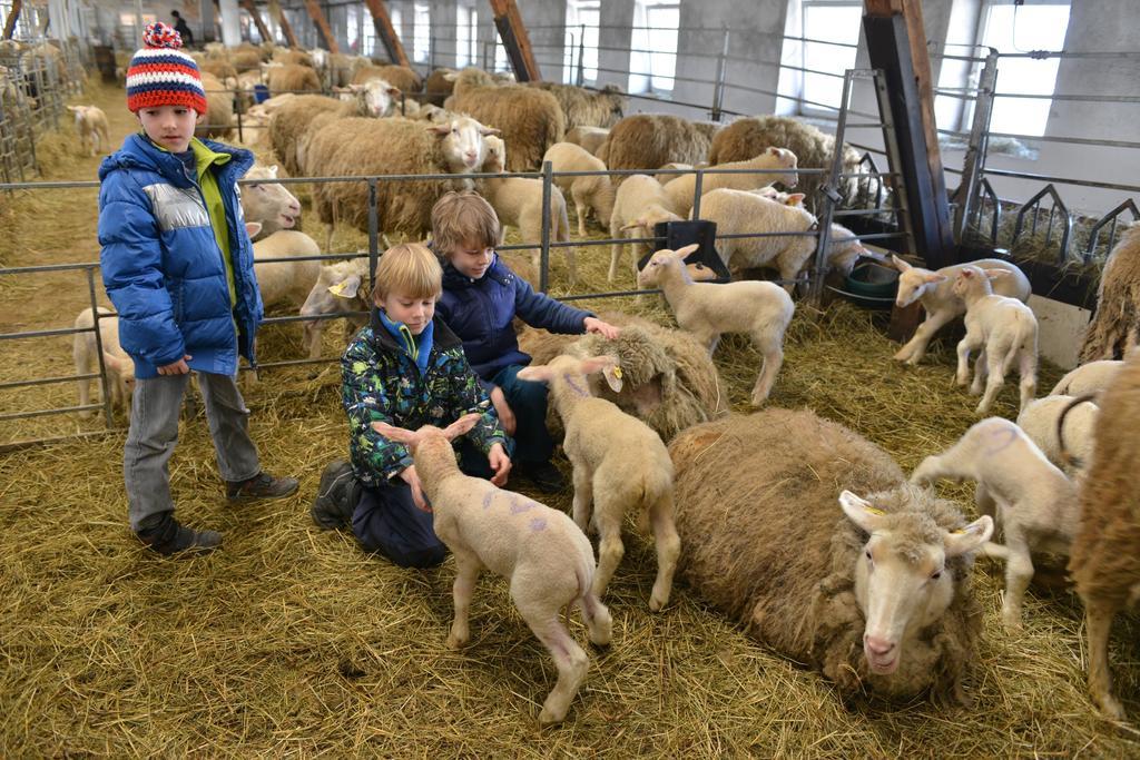 Pension Biofarma Slunecna Želnava Buitenkant foto